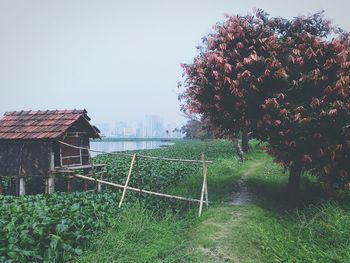 Trail by hut on riverbank against sky