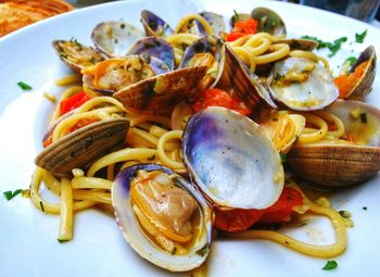 Close-up of pasta with clams served in plate