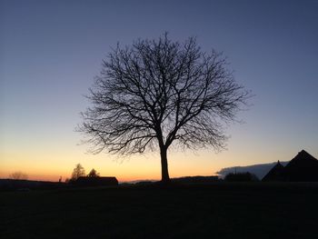 Silhouette bare tree on field against clear sky