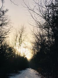 Silhouette trees against sky during sunset