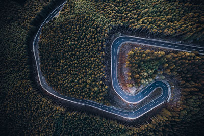 High angle view of road amidst trees on field