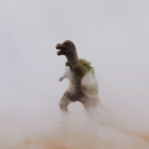 Side view of a bird against the background