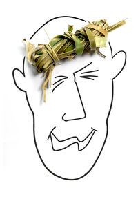 Directly above shot of dried leaves on anthropomorphic face over white background