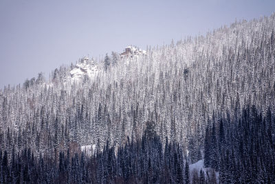 winter