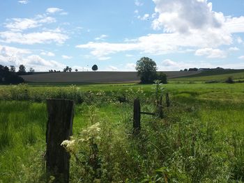 Scenic view of field against sky