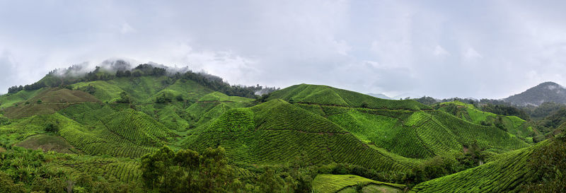 Panoramic view of green landscape and mountains against sky