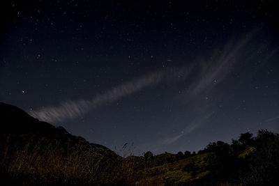 Low angle view of stars in sky at night