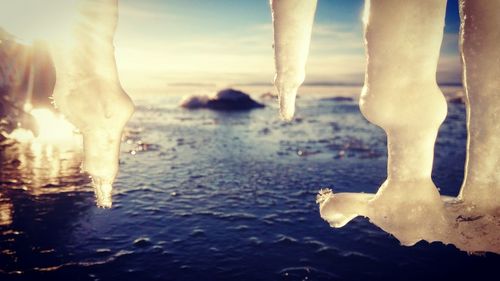 Close-up of icicles at beach