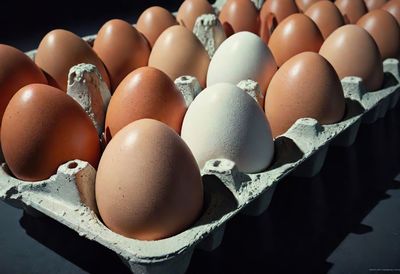 Close-up of eggs in carton