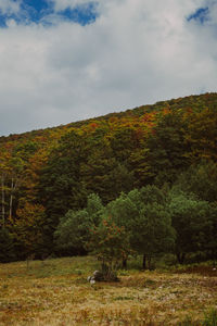 nature
