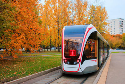 Tramway against trees in city during autumn