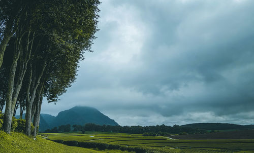 Scenic view of landscape against sky