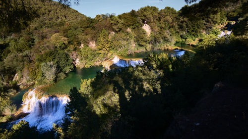 Scenic view of lake amidst trees in forest