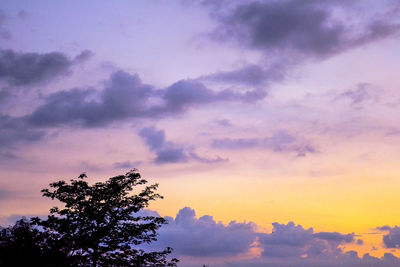 Low angle view of silhouette tree against sky during sunset