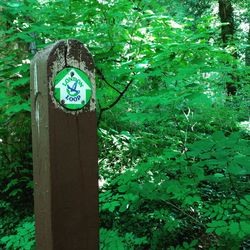 Low angle view of road sign against trees