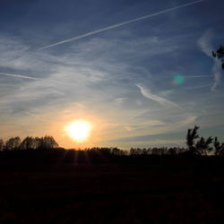 Silhouette trees on field against sky at sunset