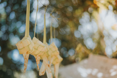 Close-up of ketupat hanging against blurred background