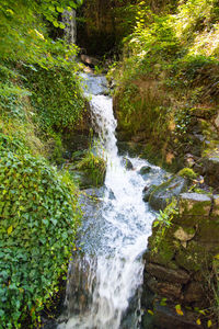 Scenic view of waterfall in forest