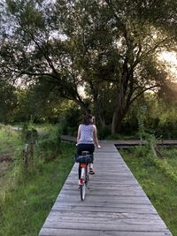 Rear view of woman riding bicycle