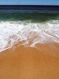 Scenic view of beach