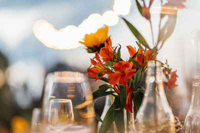 Close-up of drink on table