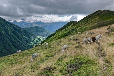 Scenic view of green landscape against sky