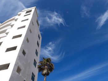 Low angle view of palm tree against blue sky