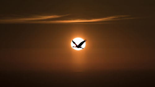 Silhouette bird flying over sea against sky during sunset