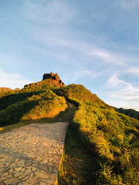 Plants on mountain against sky