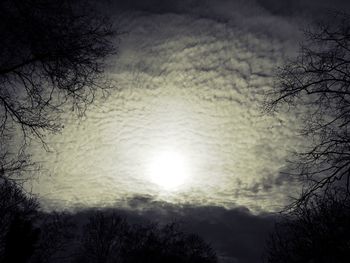 Low angle view of bare trees against cloudy sky