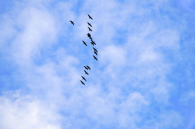 Low angle view of birds flying against cloudy sky