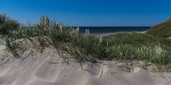 Scenic view of sea against clear blue sky