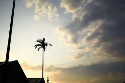 Low angle view of silhouette palm trees against sky