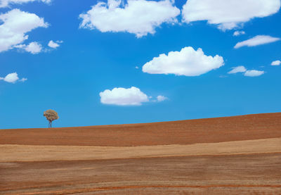 Scenic view of desert against sky