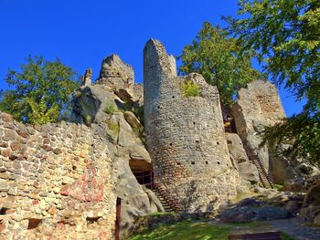 Low angle view of old ruin tree