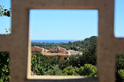 Trees and buildings against clear blue sky seen through window