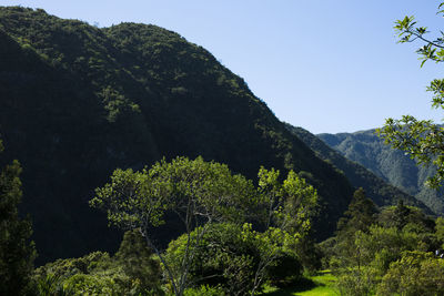 Scenic view of trees and mountains against sky