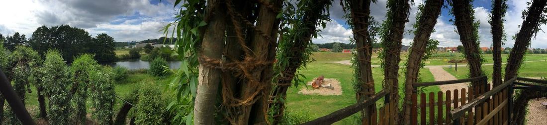 Panoramic view of trees against sky