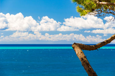 Scenic view of sea against blue sky