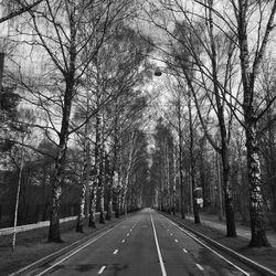 Empty road along bare trees in moscow park