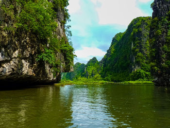 Scenic view of river by trees against sky