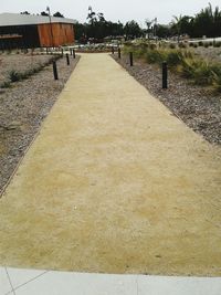 Walkway amidst trees against sky