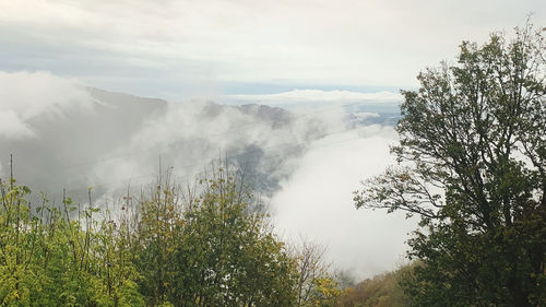 Scenic view of foggy weather against sky