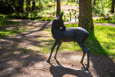 Horse standing on tree trunk