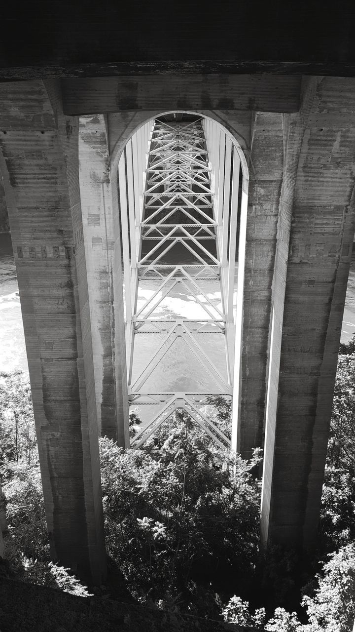 LOW ANGLE VIEW OF BRIDGE AMIDST TREES