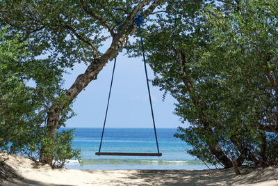 Trees on beach against clear sky