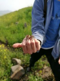 Close-up of man holding spider on hand
