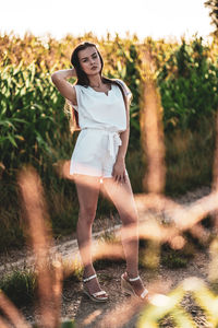 Young beautiful woman with brown hair in the corn field.