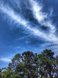 Low angle view of trees against cloudy sky