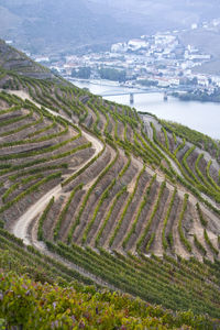 Landscape in the douro river, alto douro wine valley